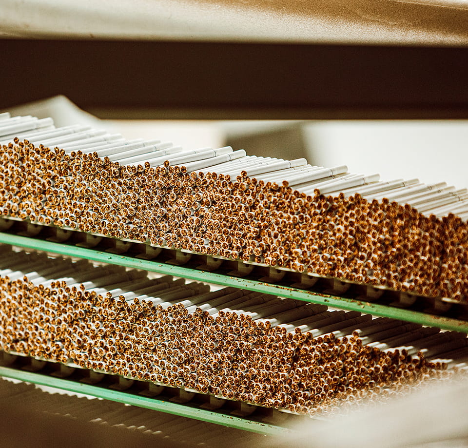 XINBEX Belting (Jiangsu) Co., Ltd.