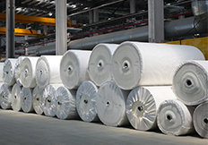 XINBEX Belting (Jiangsu) Co., Ltd.